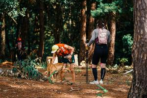 BIB: 
                            <button type="button" onclick="openModal(25804409)" class="btn btn-primary btn-sm float-right btn-popup" data-toggle="modal" data-target=".modal-high-quality">
                        <i class="fas fa-shopping-cart"></i> Add to Cart
                    </button>
                                            <button type="button" onclick="isThisMe(25804409, true)" class="btn btn-success btn-sm float-right btn-popup btn-isme hidden" data-toggle="tooltip" data-placement="bottom" title="นี่คือรูปของคุณใช่ไหม คลิกที่นี่เพื่อเอาเข้าอัลบั้ม">
                        <i class="fas fa-plus"></i> Add to album
                    </button>
                    <button type="button" onclick="isThisMe(25804409, false)" class="btn btn-warning btn-sm float-right btn-popup btn-isnotme hidden">
                        <i class="fas fa-ban"></i> Remove from album
                    </button>