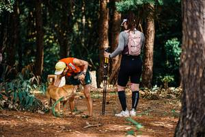 BIB: 
                            <button type="button" onclick="openModal(25804403)" class="btn btn-primary btn-sm float-right btn-popup" data-toggle="modal" data-target=".modal-high-quality">
                        <i class="fas fa-shopping-cart"></i> Add to Cart
                    </button>
                                            <button type="button" onclick="isThisMe(25804403, true)" class="btn btn-success btn-sm float-right btn-popup btn-isme hidden" data-toggle="tooltip" data-placement="bottom" title="นี่คือรูปของคุณใช่ไหม คลิกที่นี่เพื่อเอาเข้าอัลบั้ม">
                        <i class="fas fa-plus"></i> Add to album
                    </button>
                    <button type="button" onclick="isThisMe(25804403, false)" class="btn btn-warning btn-sm float-right btn-popup btn-isnotme hidden">
                        <i class="fas fa-ban"></i> Remove from album
                    </button>