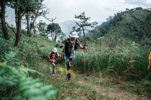 BIB: 
                            <button type="button" onclick="openModal(26112321)" class="btn btn-primary btn-sm float-right btn-popup" data-toggle="modal" data-target=".modal-high-quality">
                        <i class="fas fa-shopping-cart"></i> Add to Cart
                    </button>
                                            <button type="button" onclick="isThisMe(26112321, true)" class="btn btn-success btn-sm float-right btn-popup btn-isme hidden" data-toggle="tooltip" data-placement="bottom" title="นี่คือรูปของคุณใช่ไหม คลิกที่นี่เพื่อเอาเข้าอัลบั้ม">
                        <i class="fas fa-plus"></i> Add to album
                    </button>
                    <button type="button" onclick="isThisMe(26112321, false)" class="btn btn-warning btn-sm float-right btn-popup btn-isnotme hidden">
                        <i class="fas fa-ban"></i> Remove from album
                    </button>