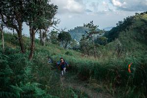 BIB: 
                            <button type="button" onclick="openModal(26105814)" class="btn btn-primary btn-sm float-right btn-popup" data-toggle="modal" data-target=".modal-high-quality">
                        <i class="fas fa-shopping-cart"></i> Add to Cart
                    </button>
                                            <button type="button" onclick="isThisMe(26105814, true)" class="btn btn-success btn-sm float-right btn-popup btn-isme hidden" data-toggle="tooltip" data-placement="bottom" title="นี่คือรูปของคุณใช่ไหม คลิกที่นี่เพื่อเอาเข้าอัลบั้ม">
                        <i class="fas fa-plus"></i> Add to album
                    </button>
                    <button type="button" onclick="isThisMe(26105814, false)" class="btn btn-warning btn-sm float-right btn-popup btn-isnotme hidden">
                        <i class="fas fa-ban"></i> Remove from album
                    </button>