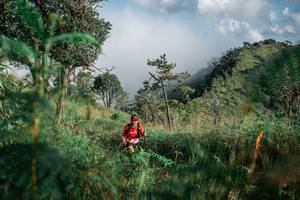 BIB: 
                            <button type="button" onclick="openModal(26115300)" class="btn btn-primary btn-sm float-right btn-popup" data-toggle="modal" data-target=".modal-high-quality">
                        <i class="fas fa-shopping-cart"></i> Add to Cart
                    </button>
                                            <button type="button" onclick="isThisMe(26115300, true)" class="btn btn-success btn-sm float-right btn-popup btn-isme hidden" data-toggle="tooltip" data-placement="bottom" title="นี่คือรูปของคุณใช่ไหม คลิกที่นี่เพื่อเอาเข้าอัลบั้ม">
                        <i class="fas fa-plus"></i> Add to album
                    </button>
                    <button type="button" onclick="isThisMe(26115300, false)" class="btn btn-warning btn-sm float-right btn-popup btn-isnotme hidden">
                        <i class="fas fa-ban"></i> Remove from album
                    </button>