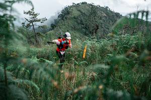 BIB: 
                            <button type="button" onclick="openModal(26109422)" class="btn btn-primary btn-sm float-right btn-popup" data-toggle="modal" data-target=".modal-high-quality">
                        <i class="fas fa-shopping-cart"></i> Add to Cart
                    </button>
                                            <button type="button" onclick="isThisMe(26109422, true)" class="btn btn-success btn-sm float-right btn-popup btn-isme hidden" data-toggle="tooltip" data-placement="bottom" title="นี่คือรูปของคุณใช่ไหม คลิกที่นี่เพื่อเอาเข้าอัลบั้ม">
                        <i class="fas fa-plus"></i> Add to album
                    </button>
                    <button type="button" onclick="isThisMe(26109422, false)" class="btn btn-warning btn-sm float-right btn-popup btn-isnotme hidden">
                        <i class="fas fa-ban"></i> Remove from album
                    </button>