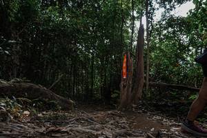 BIB: 
                            <button type="button" onclick="openModal(25774109)" class="btn btn-primary btn-sm float-right btn-popup" data-toggle="modal" data-target=".modal-high-quality">
                        <i class="fas fa-shopping-cart"></i> Add to Cart
                    </button>
                                            <button type="button" onclick="isThisMe(25774109, true)" class="btn btn-success btn-sm float-right btn-popup btn-isme hidden" data-toggle="tooltip" data-placement="bottom" title="นี่คือรูปของคุณใช่ไหม คลิกที่นี่เพื่อเอาเข้าอัลบั้ม">
                        <i class="fas fa-plus"></i> Add to album
                    </button>
                    <button type="button" onclick="isThisMe(25774109, false)" class="btn btn-warning btn-sm float-right btn-popup btn-isnotme hidden">
                        <i class="fas fa-ban"></i> Remove from album
                    </button>