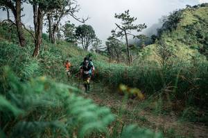 BIB: 
                            <button type="button" onclick="openModal(26114418)" class="btn btn-primary btn-sm float-right btn-popup" data-toggle="modal" data-target=".modal-high-quality">
                        <i class="fas fa-shopping-cart"></i> Add to Cart
                    </button>
                                            <button type="button" onclick="isThisMe(26114418, true)" class="btn btn-success btn-sm float-right btn-popup btn-isme hidden" data-toggle="tooltip" data-placement="bottom" title="นี่คือรูปของคุณใช่ไหม คลิกที่นี่เพื่อเอาเข้าอัลบั้ม">
                        <i class="fas fa-plus"></i> Add to album
                    </button>
                    <button type="button" onclick="isThisMe(26114418, false)" class="btn btn-warning btn-sm float-right btn-popup btn-isnotme hidden">
                        <i class="fas fa-ban"></i> Remove from album
                    </button>