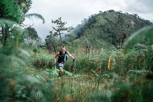 BIB: 
                            <button type="button" onclick="openModal(26110892)" class="btn btn-primary btn-sm float-right btn-popup" data-toggle="modal" data-target=".modal-high-quality">
                        <i class="fas fa-shopping-cart"></i> Add to Cart
                    </button>
                                            <button type="button" onclick="isThisMe(26110892, true)" class="btn btn-success btn-sm float-right btn-popup btn-isme hidden" data-toggle="tooltip" data-placement="bottom" title="นี่คือรูปของคุณใช่ไหม คลิกที่นี่เพื่อเอาเข้าอัลบั้ม">
                        <i class="fas fa-plus"></i> Add to album
                    </button>
                    <button type="button" onclick="isThisMe(26110892, false)" class="btn btn-warning btn-sm float-right btn-popup btn-isnotme hidden">
                        <i class="fas fa-ban"></i> Remove from album
                    </button>