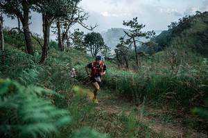 BIB: 
                            <button type="button" onclick="openModal(26111971)" class="btn btn-primary btn-sm float-right btn-popup" data-toggle="modal" data-target=".modal-high-quality">
                        <i class="fas fa-shopping-cart"></i> Add to Cart
                    </button>
                                            <button type="button" onclick="isThisMe(26111971, true)" class="btn btn-success btn-sm float-right btn-popup btn-isme hidden" data-toggle="tooltip" data-placement="bottom" title="นี่คือรูปของคุณใช่ไหม คลิกที่นี่เพื่อเอาเข้าอัลบั้ม">
                        <i class="fas fa-plus"></i> Add to album
                    </button>
                    <button type="button" onclick="isThisMe(26111971, false)" class="btn btn-warning btn-sm float-right btn-popup btn-isnotme hidden">
                        <i class="fas fa-ban"></i> Remove from album
                    </button>