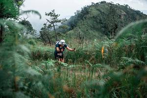 BIB: 
                            <button type="button" onclick="openModal(26109564)" class="btn btn-primary btn-sm float-right btn-popup" data-toggle="modal" data-target=".modal-high-quality">
                        <i class="fas fa-shopping-cart"></i> Add to Cart
                    </button>
                                            <button type="button" onclick="isThisMe(26109564, true)" class="btn btn-success btn-sm float-right btn-popup btn-isme hidden" data-toggle="tooltip" data-placement="bottom" title="นี่คือรูปของคุณใช่ไหม คลิกที่นี่เพื่อเอาเข้าอัลบั้ม">
                        <i class="fas fa-plus"></i> Add to album
                    </button>
                    <button type="button" onclick="isThisMe(26109564, false)" class="btn btn-warning btn-sm float-right btn-popup btn-isnotme hidden">
                        <i class="fas fa-ban"></i> Remove from album
                    </button>