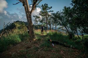 BIB: 
                            <button type="button" onclick="openModal(26108075)" class="btn btn-primary btn-sm float-right btn-popup" data-toggle="modal" data-target=".modal-high-quality">
                        <i class="fas fa-shopping-cart"></i> Add to Cart
                    </button>
                                            <button type="button" onclick="isThisMe(26108075, true)" class="btn btn-success btn-sm float-right btn-popup btn-isme hidden" data-toggle="tooltip" data-placement="bottom" title="นี่คือรูปของคุณใช่ไหม คลิกที่นี่เพื่อเอาเข้าอัลบั้ม">
                        <i class="fas fa-plus"></i> Add to album
                    </button>
                    <button type="button" onclick="isThisMe(26108075, false)" class="btn btn-warning btn-sm float-right btn-popup btn-isnotme hidden">
                        <i class="fas fa-ban"></i> Remove from album
                    </button>