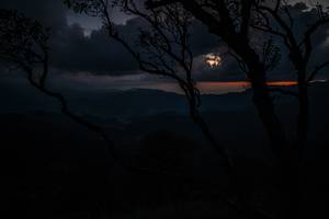 BIB: 
                            <button type="button" onclick="openModal(26108806)" class="btn btn-primary btn-sm float-right btn-popup" data-toggle="modal" data-target=".modal-high-quality">
                        <i class="fas fa-shopping-cart"></i> Add to Cart
                    </button>
                                            <button type="button" onclick="isThisMe(26108806, true)" class="btn btn-success btn-sm float-right btn-popup btn-isme hidden" data-toggle="tooltip" data-placement="bottom" title="นี่คือรูปของคุณใช่ไหม คลิกที่นี่เพื่อเอาเข้าอัลบั้ม">
                        <i class="fas fa-plus"></i> Add to album
                    </button>
                    <button type="button" onclick="isThisMe(26108806, false)" class="btn btn-warning btn-sm float-right btn-popup btn-isnotme hidden">
                        <i class="fas fa-ban"></i> Remove from album
                    </button>