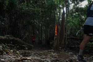 BIB: 
                            <button type="button" onclick="openModal(25773105)" class="btn btn-primary btn-sm float-right btn-popup" data-toggle="modal" data-target=".modal-high-quality">
                        <i class="fas fa-shopping-cart"></i> Add to Cart
                    </button>
                                            <button type="button" onclick="isThisMe(25773105, true)" class="btn btn-success btn-sm float-right btn-popup btn-isme hidden" data-toggle="tooltip" data-placement="bottom" title="นี่คือรูปของคุณใช่ไหม คลิกที่นี่เพื่อเอาเข้าอัลบั้ม">
                        <i class="fas fa-plus"></i> Add to album
                    </button>
                    <button type="button" onclick="isThisMe(25773105, false)" class="btn btn-warning btn-sm float-right btn-popup btn-isnotme hidden">
                        <i class="fas fa-ban"></i> Remove from album
                    </button>