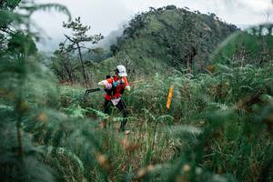 BIB: 
                            <button type="button" onclick="openModal(26109423)" class="btn btn-primary btn-sm float-right btn-popup" data-toggle="modal" data-target=".modal-high-quality">
                        <i class="fas fa-shopping-cart"></i> Add to Cart
                    </button>
                                            <button type="button" onclick="isThisMe(26109423, true)" class="btn btn-success btn-sm float-right btn-popup btn-isme hidden" data-toggle="tooltip" data-placement="bottom" title="นี่คือรูปของคุณใช่ไหม คลิกที่นี่เพื่อเอาเข้าอัลบั้ม">
                        <i class="fas fa-plus"></i> Add to album
                    </button>
                    <button type="button" onclick="isThisMe(26109423, false)" class="btn btn-warning btn-sm float-right btn-popup btn-isnotme hidden">
                        <i class="fas fa-ban"></i> Remove from album
                    </button>