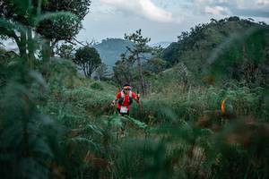 BIB: 
                            <button type="button" onclick="openModal(26105465)" class="btn btn-primary btn-sm float-right btn-popup" data-toggle="modal" data-target=".modal-high-quality">
                        <i class="fas fa-shopping-cart"></i> Add to Cart
                    </button>
                                            <button type="button" onclick="isThisMe(26105465, true)" class="btn btn-success btn-sm float-right btn-popup btn-isme hidden" data-toggle="tooltip" data-placement="bottom" title="นี่คือรูปของคุณใช่ไหม คลิกที่นี่เพื่อเอาเข้าอัลบั้ม">
                        <i class="fas fa-plus"></i> Add to album
                    </button>
                    <button type="button" onclick="isThisMe(26105465, false)" class="btn btn-warning btn-sm float-right btn-popup btn-isnotme hidden">
                        <i class="fas fa-ban"></i> Remove from album
                    </button>