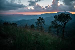 BIB: 
                            <button type="button" onclick="openModal(26108562)" class="btn btn-primary btn-sm float-right btn-popup" data-toggle="modal" data-target=".modal-high-quality">
                        <i class="fas fa-shopping-cart"></i> Add to Cart
                    </button>
                                            <button type="button" onclick="isThisMe(26108562, true)" class="btn btn-success btn-sm float-right btn-popup btn-isme hidden" data-toggle="tooltip" data-placement="bottom" title="นี่คือรูปของคุณใช่ไหม คลิกที่นี่เพื่อเอาเข้าอัลบั้ม">
                        <i class="fas fa-plus"></i> Add to album
                    </button>
                    <button type="button" onclick="isThisMe(26108562, false)" class="btn btn-warning btn-sm float-right btn-popup btn-isnotme hidden">
                        <i class="fas fa-ban"></i> Remove from album
                    </button>