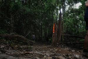 BIB: 
                            <button type="button" onclick="openModal(25730146)" class="btn btn-primary btn-sm float-right btn-popup" data-toggle="modal" data-target=".modal-high-quality">
                        <i class="fas fa-shopping-cart"></i> Add to Cart
                    </button>
                                            <button type="button" onclick="isThisMe(25730146, true)" class="btn btn-success btn-sm float-right btn-popup btn-isme hidden" data-toggle="tooltip" data-placement="bottom" title="นี่คือรูปของคุณใช่ไหม คลิกที่นี่เพื่อเอาเข้าอัลบั้ม">
                        <i class="fas fa-plus"></i> Add to album
                    </button>
                    <button type="button" onclick="isThisMe(25730146, false)" class="btn btn-warning btn-sm float-right btn-popup btn-isnotme hidden">
                        <i class="fas fa-ban"></i> Remove from album
                    </button>