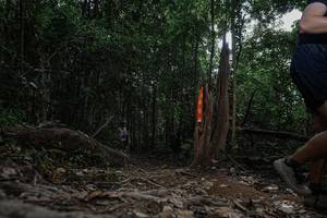 BIB: 
                            <button type="button" onclick="openModal(25730131)" class="btn btn-primary btn-sm float-right btn-popup" data-toggle="modal" data-target=".modal-high-quality">
                        <i class="fas fa-shopping-cart"></i> Add to Cart
                    </button>
                                            <button type="button" onclick="isThisMe(25730131, true)" class="btn btn-success btn-sm float-right btn-popup btn-isme hidden" data-toggle="tooltip" data-placement="bottom" title="นี่คือรูปของคุณใช่ไหม คลิกที่นี่เพื่อเอาเข้าอัลบั้ม">
                        <i class="fas fa-plus"></i> Add to album
                    </button>
                    <button type="button" onclick="isThisMe(25730131, false)" class="btn btn-warning btn-sm float-right btn-popup btn-isnotme hidden">
                        <i class="fas fa-ban"></i> Remove from album
                    </button>