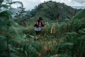 BIB: 
                            <button type="button" onclick="openModal(26111493)" class="btn btn-primary btn-sm float-right btn-popup" data-toggle="modal" data-target=".modal-high-quality">
                        <i class="fas fa-shopping-cart"></i> Add to Cart
                    </button>
                                            <button type="button" onclick="isThisMe(26111493, true)" class="btn btn-success btn-sm float-right btn-popup btn-isme hidden" data-toggle="tooltip" data-placement="bottom" title="นี่คือรูปของคุณใช่ไหม คลิกที่นี่เพื่อเอาเข้าอัลบั้ม">
                        <i class="fas fa-plus"></i> Add to album
                    </button>
                    <button type="button" onclick="isThisMe(26111493, false)" class="btn btn-warning btn-sm float-right btn-popup btn-isnotme hidden">
                        <i class="fas fa-ban"></i> Remove from album
                    </button>