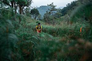 BIB: 
                            <button type="button" onclick="openModal(26105535)" class="btn btn-primary btn-sm float-right btn-popup" data-toggle="modal" data-target=".modal-high-quality">
                        <i class="fas fa-shopping-cart"></i> Add to Cart
                    </button>
                                            <button type="button" onclick="isThisMe(26105535, true)" class="btn btn-success btn-sm float-right btn-popup btn-isme hidden" data-toggle="tooltip" data-placement="bottom" title="นี่คือรูปของคุณใช่ไหม คลิกที่นี่เพื่อเอาเข้าอัลบั้ม">
                        <i class="fas fa-plus"></i> Add to album
                    </button>
                    <button type="button" onclick="isThisMe(26105535, false)" class="btn btn-warning btn-sm float-right btn-popup btn-isnotme hidden">
                        <i class="fas fa-ban"></i> Remove from album
                    </button>