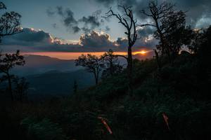 BIB: 
                            <button type="button" onclick="openModal(26108538)" class="btn btn-primary btn-sm float-right btn-popup" data-toggle="modal" data-target=".modal-high-quality">
                        <i class="fas fa-shopping-cart"></i> Add to Cart
                    </button>
                                            <button type="button" onclick="isThisMe(26108538, true)" class="btn btn-success btn-sm float-right btn-popup btn-isme hidden" data-toggle="tooltip" data-placement="bottom" title="นี่คือรูปของคุณใช่ไหม คลิกที่นี่เพื่อเอาเข้าอัลบั้ม">
                        <i class="fas fa-plus"></i> Add to album
                    </button>
                    <button type="button" onclick="isThisMe(26108538, false)" class="btn btn-warning btn-sm float-right btn-popup btn-isnotme hidden">
                        <i class="fas fa-ban"></i> Remove from album
                    </button>