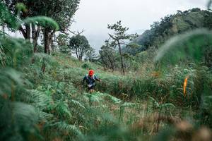 BIB: 
                            <button type="button" onclick="openModal(26109623)" class="btn btn-primary btn-sm float-right btn-popup" data-toggle="modal" data-target=".modal-high-quality">
                        <i class="fas fa-shopping-cart"></i> Add to Cart
                    </button>
                                            <button type="button" onclick="isThisMe(26109623, true)" class="btn btn-success btn-sm float-right btn-popup btn-isme hidden" data-toggle="tooltip" data-placement="bottom" title="นี่คือรูปของคุณใช่ไหม คลิกที่นี่เพื่อเอาเข้าอัลบั้ม">
                        <i class="fas fa-plus"></i> Add to album
                    </button>
                    <button type="button" onclick="isThisMe(26109623, false)" class="btn btn-warning btn-sm float-right btn-popup btn-isnotme hidden">
                        <i class="fas fa-ban"></i> Remove from album
                    </button>