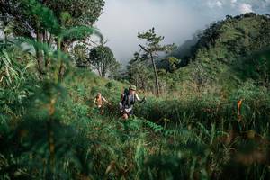 BIB: 
                            <button type="button" onclick="openModal(26114980)" class="btn btn-primary btn-sm float-right btn-popup" data-toggle="modal" data-target=".modal-high-quality">
                        <i class="fas fa-shopping-cart"></i> Add to Cart
                    </button>
                                            <button type="button" onclick="isThisMe(26114980, true)" class="btn btn-success btn-sm float-right btn-popup btn-isme hidden" data-toggle="tooltip" data-placement="bottom" title="นี่คือรูปของคุณใช่ไหม คลิกที่นี่เพื่อเอาเข้าอัลบั้ม">
                        <i class="fas fa-plus"></i> Add to album
                    </button>
                    <button type="button" onclick="isThisMe(26114980, false)" class="btn btn-warning btn-sm float-right btn-popup btn-isnotme hidden">
                        <i class="fas fa-ban"></i> Remove from album
                    </button>