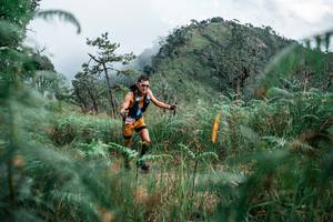 BIB: 
                            <button type="button" onclick="openModal(26109483)" class="btn btn-primary btn-sm float-right btn-popup" data-toggle="modal" data-target=".modal-high-quality">
                        <i class="fas fa-shopping-cart"></i> Add to Cart
                    </button>
                                            <button type="button" onclick="isThisMe(26109483, true)" class="btn btn-success btn-sm float-right btn-popup btn-isme hidden" data-toggle="tooltip" data-placement="bottom" title="นี่คือรูปของคุณใช่ไหม คลิกที่นี่เพื่อเอาเข้าอัลบั้ม">
                        <i class="fas fa-plus"></i> Add to album
                    </button>
                    <button type="button" onclick="isThisMe(26109483, false)" class="btn btn-warning btn-sm float-right btn-popup btn-isnotme hidden">
                        <i class="fas fa-ban"></i> Remove from album
                    </button>