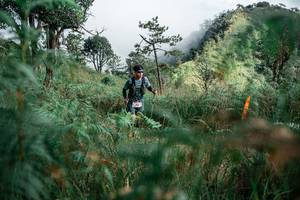 BIB: 
                            <button type="button" onclick="openModal(26110676)" class="btn btn-primary btn-sm float-right btn-popup" data-toggle="modal" data-target=".modal-high-quality">
                        <i class="fas fa-shopping-cart"></i> Add to Cart
                    </button>
                                            <button type="button" onclick="isThisMe(26110676, true)" class="btn btn-success btn-sm float-right btn-popup btn-isme hidden" data-toggle="tooltip" data-placement="bottom" title="นี่คือรูปของคุณใช่ไหม คลิกที่นี่เพื่อเอาเข้าอัลบั้ม">
                        <i class="fas fa-plus"></i> Add to album
                    </button>
                    <button type="button" onclick="isThisMe(26110676, false)" class="btn btn-warning btn-sm float-right btn-popup btn-isnotme hidden">
                        <i class="fas fa-ban"></i> Remove from album
                    </button>