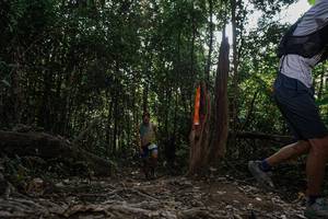 BIB: 
                            <button type="button" onclick="openModal(25696155)" class="btn btn-primary btn-sm float-right btn-popup" data-toggle="modal" data-target=".modal-high-quality">
                        <i class="fas fa-shopping-cart"></i> Add to Cart
                    </button>
                                            <button type="button" onclick="isThisMe(25696155, true)" class="btn btn-success btn-sm float-right btn-popup btn-isme hidden" data-toggle="tooltip" data-placement="bottom" title="นี่คือรูปของคุณใช่ไหม คลิกที่นี่เพื่อเอาเข้าอัลบั้ม">
                        <i class="fas fa-plus"></i> Add to album
                    </button>
                    <button type="button" onclick="isThisMe(25696155, false)" class="btn btn-warning btn-sm float-right btn-popup btn-isnotme hidden">
                        <i class="fas fa-ban"></i> Remove from album
                    </button>