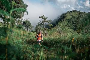 BIB: 
                            <button type="button" onclick="openModal(26115144)" class="btn btn-primary btn-sm float-right btn-popup" data-toggle="modal" data-target=".modal-high-quality">
                        <i class="fas fa-shopping-cart"></i> Add to Cart
                    </button>
                                            <button type="button" onclick="isThisMe(26115144, true)" class="btn btn-success btn-sm float-right btn-popup btn-isme hidden" data-toggle="tooltip" data-placement="bottom" title="นี่คือรูปของคุณใช่ไหม คลิกที่นี่เพื่อเอาเข้าอัลบั้ม">
                        <i class="fas fa-plus"></i> Add to album
                    </button>
                    <button type="button" onclick="isThisMe(26115144, false)" class="btn btn-warning btn-sm float-right btn-popup btn-isnotme hidden">
                        <i class="fas fa-ban"></i> Remove from album
                    </button>