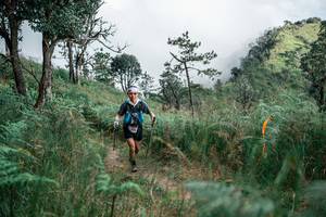 BIB: 
                            <button type="button" onclick="openModal(26114008)" class="btn btn-primary btn-sm float-right btn-popup" data-toggle="modal" data-target=".modal-high-quality">
                        <i class="fas fa-shopping-cart"></i> Add to Cart
                    </button>
                                            <button type="button" onclick="isThisMe(26114008, true)" class="btn btn-success btn-sm float-right btn-popup btn-isme hidden" data-toggle="tooltip" data-placement="bottom" title="นี่คือรูปของคุณใช่ไหม คลิกที่นี่เพื่อเอาเข้าอัลบั้ม">
                        <i class="fas fa-plus"></i> Add to album
                    </button>
                    <button type="button" onclick="isThisMe(26114008, false)" class="btn btn-warning btn-sm float-right btn-popup btn-isnotme hidden">
                        <i class="fas fa-ban"></i> Remove from album
                    </button>