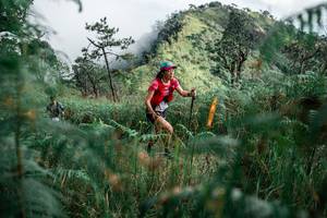 BIB: 
                            <button type="button" onclick="openModal(26110623)" class="btn btn-primary btn-sm float-right btn-popup" data-toggle="modal" data-target=".modal-high-quality">
                        <i class="fas fa-shopping-cart"></i> Add to Cart
                    </button>
                                            <button type="button" onclick="isThisMe(26110623, true)" class="btn btn-success btn-sm float-right btn-popup btn-isme hidden" data-toggle="tooltip" data-placement="bottom" title="นี่คือรูปของคุณใช่ไหม คลิกที่นี่เพื่อเอาเข้าอัลบั้ม">
                        <i class="fas fa-plus"></i> Add to album
                    </button>
                    <button type="button" onclick="isThisMe(26110623, false)" class="btn btn-warning btn-sm float-right btn-popup btn-isnotme hidden">
                        <i class="fas fa-ban"></i> Remove from album
                    </button>