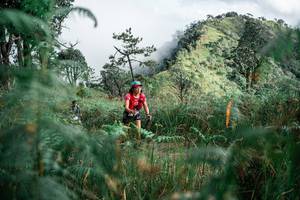 BIB: 
                            <button type="button" onclick="openModal(26110627)" class="btn btn-primary btn-sm float-right btn-popup" data-toggle="modal" data-target=".modal-high-quality">
                        <i class="fas fa-shopping-cart"></i> Add to Cart
                    </button>
                                            <button type="button" onclick="isThisMe(26110627, true)" class="btn btn-success btn-sm float-right btn-popup btn-isme hidden" data-toggle="tooltip" data-placement="bottom" title="นี่คือรูปของคุณใช่ไหม คลิกที่นี่เพื่อเอาเข้าอัลบั้ม">
                        <i class="fas fa-plus"></i> Add to album
                    </button>
                    <button type="button" onclick="isThisMe(26110627, false)" class="btn btn-warning btn-sm float-right btn-popup btn-isnotme hidden">
                        <i class="fas fa-ban"></i> Remove from album
                    </button>