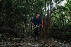 BIB: 
                            <button type="button" onclick="openModal(25706718)" class="btn btn-primary btn-sm float-right btn-popup" data-toggle="modal" data-target=".modal-high-quality">
                        <i class="fas fa-shopping-cart"></i> Add to Cart
                    </button>
                                            <button type="button" onclick="isThisMe(25706718, true)" class="btn btn-success btn-sm float-right btn-popup btn-isme hidden" data-toggle="tooltip" data-placement="bottom" title="นี่คือรูปของคุณใช่ไหม คลิกที่นี่เพื่อเอาเข้าอัลบั้ม">
                        <i class="fas fa-plus"></i> Add to album
                    </button>
                    <button type="button" onclick="isThisMe(25706718, false)" class="btn btn-warning btn-sm float-right btn-popup btn-isnotme hidden">
                        <i class="fas fa-ban"></i> Remove from album
                    </button>