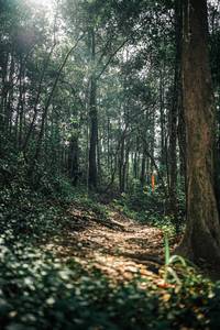 BIB: 
                            <button type="button" onclick="openModal(25362538)" class="btn btn-primary btn-sm float-right btn-popup" data-toggle="modal" data-target=".modal-high-quality">
                        <i class="fas fa-shopping-cart"></i> Add to Cart
                    </button>
                                            <button type="button" onclick="isThisMe(25362538, true)" class="btn btn-success btn-sm float-right btn-popup btn-isme hidden" data-toggle="tooltip" data-placement="bottom" title="นี่คือรูปของคุณใช่ไหม คลิกที่นี่เพื่อเอาเข้าอัลบั้ม">
                        <i class="fas fa-plus"></i> Add to album
                    </button>
                    <button type="button" onclick="isThisMe(25362538, false)" class="btn btn-warning btn-sm float-right btn-popup btn-isnotme hidden">
                        <i class="fas fa-ban"></i> Remove from album
                    </button>