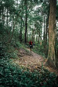 BIB: 
                            <button type="button" onclick="openModal(25359701)" class="btn btn-primary btn-sm float-right btn-popup" data-toggle="modal" data-target=".modal-high-quality">
                        <i class="fas fa-shopping-cart"></i> Add to Cart
                    </button>
                                            <button type="button" onclick="isThisMe(25359701, true)" class="btn btn-success btn-sm float-right btn-popup btn-isme hidden" data-toggle="tooltip" data-placement="bottom" title="นี่คือรูปของคุณใช่ไหม คลิกที่นี่เพื่อเอาเข้าอัลบั้ม">
                        <i class="fas fa-plus"></i> Add to album
                    </button>
                    <button type="button" onclick="isThisMe(25359701, false)" class="btn btn-warning btn-sm float-right btn-popup btn-isnotme hidden">
                        <i class="fas fa-ban"></i> Remove from album
                    </button>