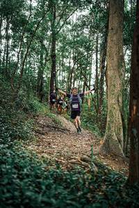 BIB: 
                            <button type="button" onclick="openModal(25359108)" class="btn btn-primary btn-sm float-right btn-popup" data-toggle="modal" data-target=".modal-high-quality">
                        <i class="fas fa-shopping-cart"></i> Add to Cart
                    </button>
                                            <button type="button" onclick="isThisMe(25359108, true)" class="btn btn-success btn-sm float-right btn-popup btn-isme hidden" data-toggle="tooltip" data-placement="bottom" title="นี่คือรูปของคุณใช่ไหม คลิกที่นี่เพื่อเอาเข้าอัลบั้ม">
                        <i class="fas fa-plus"></i> Add to album
                    </button>
                    <button type="button" onclick="isThisMe(25359108, false)" class="btn btn-warning btn-sm float-right btn-popup btn-isnotme hidden">
                        <i class="fas fa-ban"></i> Remove from album
                    </button>