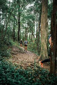 BIB: 
                            <button type="button" onclick="openModal(25359474)" class="btn btn-primary btn-sm float-right btn-popup" data-toggle="modal" data-target=".modal-high-quality">
                        <i class="fas fa-shopping-cart"></i> Add to Cart
                    </button>
                                            <button type="button" onclick="isThisMe(25359474, true)" class="btn btn-success btn-sm float-right btn-popup btn-isme hidden" data-toggle="tooltip" data-placement="bottom" title="นี่คือรูปของคุณใช่ไหม คลิกที่นี่เพื่อเอาเข้าอัลบั้ม">
                        <i class="fas fa-plus"></i> Add to album
                    </button>
                    <button type="button" onclick="isThisMe(25359474, false)" class="btn btn-warning btn-sm float-right btn-popup btn-isnotme hidden">
                        <i class="fas fa-ban"></i> Remove from album
                    </button>