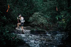 BIB: 
                            <button type="button" onclick="openModal(25348641)" class="btn btn-primary btn-sm float-right btn-popup" data-toggle="modal" data-target=".modal-high-quality">
                        <i class="fas fa-shopping-cart"></i> Add to Cart
                    </button>
                                            <button type="button" onclick="isThisMe(25348641, true)" class="btn btn-success btn-sm float-right btn-popup btn-isme hidden" data-toggle="tooltip" data-placement="bottom" title="นี่คือรูปของคุณใช่ไหม คลิกที่นี่เพื่อเอาเข้าอัลบั้ม">
                        <i class="fas fa-plus"></i> Add to album
                    </button>
                    <button type="button" onclick="isThisMe(25348641, false)" class="btn btn-warning btn-sm float-right btn-popup btn-isnotme hidden">
                        <i class="fas fa-ban"></i> Remove from album
                    </button>