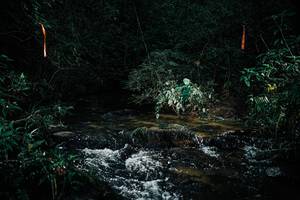 BIB: 
                            <button type="button" onclick="openModal(25354820)" class="btn btn-primary btn-sm float-right btn-popup" data-toggle="modal" data-target=".modal-high-quality">
                        <i class="fas fa-shopping-cart"></i> Add to Cart
                    </button>
                                            <button type="button" onclick="isThisMe(25354820, true)" class="btn btn-success btn-sm float-right btn-popup btn-isme hidden" data-toggle="tooltip" data-placement="bottom" title="นี่คือรูปของคุณใช่ไหม คลิกที่นี่เพื่อเอาเข้าอัลบั้ม">
                        <i class="fas fa-plus"></i> Add to album
                    </button>
                    <button type="button" onclick="isThisMe(25354820, false)" class="btn btn-warning btn-sm float-right btn-popup btn-isnotme hidden">
                        <i class="fas fa-ban"></i> Remove from album
                    </button>