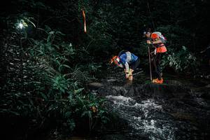 BIB: 
                            <button type="button" onclick="openModal(25353654)" class="btn btn-primary btn-sm float-right btn-popup" data-toggle="modal" data-target=".modal-high-quality">
                        <i class="fas fa-shopping-cart"></i> Add to Cart
                    </button>
                                            <button type="button" onclick="isThisMe(25353654, true)" class="btn btn-success btn-sm float-right btn-popup btn-isme hidden" data-toggle="tooltip" data-placement="bottom" title="นี่คือรูปของคุณใช่ไหม คลิกที่นี่เพื่อเอาเข้าอัลบั้ม">
                        <i class="fas fa-plus"></i> Add to album
                    </button>
                    <button type="button" onclick="isThisMe(25353654, false)" class="btn btn-warning btn-sm float-right btn-popup btn-isnotme hidden">
                        <i class="fas fa-ban"></i> Remove from album
                    </button>