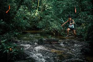 BIB: 
                            <button type="button" onclick="openModal(25349361)" class="btn btn-primary btn-sm float-right btn-popup" data-toggle="modal" data-target=".modal-high-quality">
                        <i class="fas fa-shopping-cart"></i> Add to Cart
                    </button>
                                            <button type="button" onclick="isThisMe(25349361, true)" class="btn btn-success btn-sm float-right btn-popup btn-isme hidden" data-toggle="tooltip" data-placement="bottom" title="นี่คือรูปของคุณใช่ไหม คลิกที่นี่เพื่อเอาเข้าอัลบั้ม">
                        <i class="fas fa-plus"></i> Add to album
                    </button>
                    <button type="button" onclick="isThisMe(25349361, false)" class="btn btn-warning btn-sm float-right btn-popup btn-isnotme hidden">
                        <i class="fas fa-ban"></i> Remove from album
                    </button>