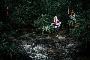 BIB: 
                            <button type="button" onclick="openModal(25353977)" class="btn btn-primary btn-sm float-right btn-popup" data-toggle="modal" data-target=".modal-high-quality">
                        <i class="fas fa-shopping-cart"></i> Add to Cart
                    </button>
                                            <button type="button" onclick="isThisMe(25353977, true)" class="btn btn-success btn-sm float-right btn-popup btn-isme hidden" data-toggle="tooltip" data-placement="bottom" title="นี่คือรูปของคุณใช่ไหม คลิกที่นี่เพื่อเอาเข้าอัลบั้ม">
                        <i class="fas fa-plus"></i> Add to album
                    </button>
                    <button type="button" onclick="isThisMe(25353977, false)" class="btn btn-warning btn-sm float-right btn-popup btn-isnotme hidden">
                        <i class="fas fa-ban"></i> Remove from album
                    </button>