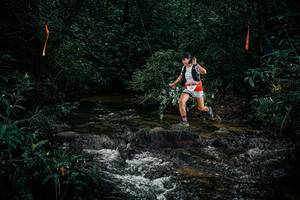 BIB: 
                            <button type="button" onclick="openModal(25353942)" class="btn btn-primary btn-sm float-right btn-popup" data-toggle="modal" data-target=".modal-high-quality">
                        <i class="fas fa-shopping-cart"></i> Add to Cart
                    </button>
                                            <button type="button" onclick="isThisMe(25353942, true)" class="btn btn-success btn-sm float-right btn-popup btn-isme hidden" data-toggle="tooltip" data-placement="bottom" title="นี่คือรูปของคุณใช่ไหม คลิกที่นี่เพื่อเอาเข้าอัลบั้ม">
                        <i class="fas fa-plus"></i> Add to album
                    </button>
                    <button type="button" onclick="isThisMe(25353942, false)" class="btn btn-warning btn-sm float-right btn-popup btn-isnotme hidden">
                        <i class="fas fa-ban"></i> Remove from album
                    </button>