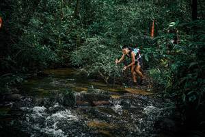 BIB: 
                            <button type="button" onclick="openModal(25350314)" class="btn btn-primary btn-sm float-right btn-popup" data-toggle="modal" data-target=".modal-high-quality">
                        <i class="fas fa-shopping-cart"></i> Add to Cart
                    </button>
                                            <button type="button" onclick="isThisMe(25350314, true)" class="btn btn-success btn-sm float-right btn-popup btn-isme hidden" data-toggle="tooltip" data-placement="bottom" title="นี่คือรูปของคุณใช่ไหม คลิกที่นี่เพื่อเอาเข้าอัลบั้ม">
                        <i class="fas fa-plus"></i> Add to album
                    </button>
                    <button type="button" onclick="isThisMe(25350314, false)" class="btn btn-warning btn-sm float-right btn-popup btn-isnotme hidden">
                        <i class="fas fa-ban"></i> Remove from album
                    </button>