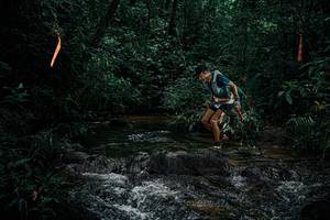 BIB: 
                            <button type="button" onclick="openModal(25352393)" class="btn btn-primary btn-sm float-right btn-popup" data-toggle="modal" data-target=".modal-high-quality">
                        <i class="fas fa-shopping-cart"></i> Add to Cart
                    </button>
                                            <button type="button" onclick="isThisMe(25352393, true)" class="btn btn-success btn-sm float-right btn-popup btn-isme hidden" data-toggle="tooltip" data-placement="bottom" title="นี่คือรูปของคุณใช่ไหม คลิกที่นี่เพื่อเอาเข้าอัลบั้ม">
                        <i class="fas fa-plus"></i> Add to album
                    </button>
                    <button type="button" onclick="isThisMe(25352393, false)" class="btn btn-warning btn-sm float-right btn-popup btn-isnotme hidden">
                        <i class="fas fa-ban"></i> Remove from album
                    </button>