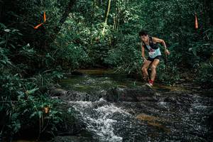 BIB: 
                            <button type="button" onclick="openModal(25349373)" class="btn btn-primary btn-sm float-right btn-popup" data-toggle="modal" data-target=".modal-high-quality">
                        <i class="fas fa-shopping-cart"></i> Add to Cart
                    </button>
                                            <button type="button" onclick="isThisMe(25349373, true)" class="btn btn-success btn-sm float-right btn-popup btn-isme hidden" data-toggle="tooltip" data-placement="bottom" title="นี่คือรูปของคุณใช่ไหม คลิกที่นี่เพื่อเอาเข้าอัลบั้ม">
                        <i class="fas fa-plus"></i> Add to album
                    </button>
                    <button type="button" onclick="isThisMe(25349373, false)" class="btn btn-warning btn-sm float-right btn-popup btn-isnotme hidden">
                        <i class="fas fa-ban"></i> Remove from album
                    </button>