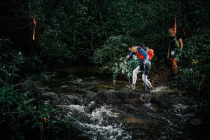 BIB: 
                            <button type="button" onclick="openModal(25354091)" class="btn btn-primary btn-sm float-right btn-popup" data-toggle="modal" data-target=".modal-high-quality">
                        <i class="fas fa-shopping-cart"></i> Add to Cart
                    </button>
                                            <button type="button" onclick="isThisMe(25354091, true)" class="btn btn-success btn-sm float-right btn-popup btn-isme hidden" data-toggle="tooltip" data-placement="bottom" title="นี่คือรูปของคุณใช่ไหม คลิกที่นี่เพื่อเอาเข้าอัลบั้ม">
                        <i class="fas fa-plus"></i> Add to album
                    </button>
                    <button type="button" onclick="isThisMe(25354091, false)" class="btn btn-warning btn-sm float-right btn-popup btn-isnotme hidden">
                        <i class="fas fa-ban"></i> Remove from album
                    </button>