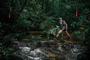 BIB: 
                            <button type="button" onclick="openModal(25353155)" class="btn btn-primary btn-sm float-right btn-popup" data-toggle="modal" data-target=".modal-high-quality">
                        <i class="fas fa-shopping-cart"></i> Add to Cart
                    </button>
                                            <button type="button" onclick="isThisMe(25353155, true)" class="btn btn-success btn-sm float-right btn-popup btn-isme hidden" data-toggle="tooltip" data-placement="bottom" title="นี่คือรูปของคุณใช่ไหม คลิกที่นี่เพื่อเอาเข้าอัลบั้ม">
                        <i class="fas fa-plus"></i> Add to album
                    </button>
                    <button type="button" onclick="isThisMe(25353155, false)" class="btn btn-warning btn-sm float-right btn-popup btn-isnotme hidden">
                        <i class="fas fa-ban"></i> Remove from album
                    </button>