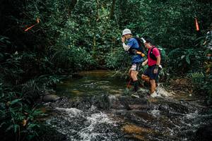 BIB: 
                            <button type="button" onclick="openModal(25350449)" class="btn btn-primary btn-sm float-right btn-popup" data-toggle="modal" data-target=".modal-high-quality">
                        <i class="fas fa-shopping-cart"></i> Add to Cart
                    </button>
                                            <button type="button" onclick="isThisMe(25350449, true)" class="btn btn-success btn-sm float-right btn-popup btn-isme hidden" data-toggle="tooltip" data-placement="bottom" title="นี่คือรูปของคุณใช่ไหม คลิกที่นี่เพื่อเอาเข้าอัลบั้ม">
                        <i class="fas fa-plus"></i> Add to album
                    </button>
                    <button type="button" onclick="isThisMe(25350449, false)" class="btn btn-warning btn-sm float-right btn-popup btn-isnotme hidden">
                        <i class="fas fa-ban"></i> Remove from album
                    </button>