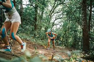 BIB: 
                            <button type="button" onclick="openModal(25539318)" class="btn btn-primary btn-sm float-right btn-popup" data-toggle="modal" data-target=".modal-high-quality">
                        <i class="fas fa-shopping-cart"></i> Add to Cart
                    </button>
                                            <button type="button" onclick="isThisMe(25539318, true)" class="btn btn-success btn-sm float-right btn-popup btn-isme hidden" data-toggle="tooltip" data-placement="bottom" title="นี่คือรูปของคุณใช่ไหม คลิกที่นี่เพื่อเอาเข้าอัลบั้ม">
                        <i class="fas fa-plus"></i> Add to album
                    </button>
                    <button type="button" onclick="isThisMe(25539318, false)" class="btn btn-warning btn-sm float-right btn-popup btn-isnotme hidden">
                        <i class="fas fa-ban"></i> Remove from album
                    </button>