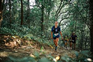 BIB: 
                            <button type="button" onclick="openModal(25529558)" class="btn btn-primary btn-sm float-right btn-popup" data-toggle="modal" data-target=".modal-high-quality">
                        <i class="fas fa-shopping-cart"></i> Add to Cart
                    </button>
                                            <button type="button" onclick="isThisMe(25529558, true)" class="btn btn-success btn-sm float-right btn-popup btn-isme hidden" data-toggle="tooltip" data-placement="bottom" title="นี่คือรูปของคุณใช่ไหม คลิกที่นี่เพื่อเอาเข้าอัลบั้ม">
                        <i class="fas fa-plus"></i> Add to album
                    </button>
                    <button type="button" onclick="isThisMe(25529558, false)" class="btn btn-warning btn-sm float-right btn-popup btn-isnotme hidden">
                        <i class="fas fa-ban"></i> Remove from album
                    </button>